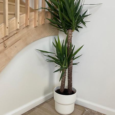 L Appartement Sete Magnifique Duplex Climatise Exterior photo